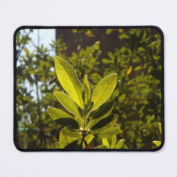 Item preview, Leaves designed and sold by This and That.