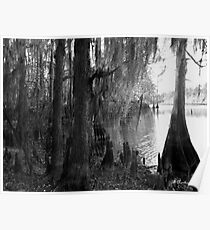 Lost In Time - Caddo Lake near Uncertain, Texas Poster