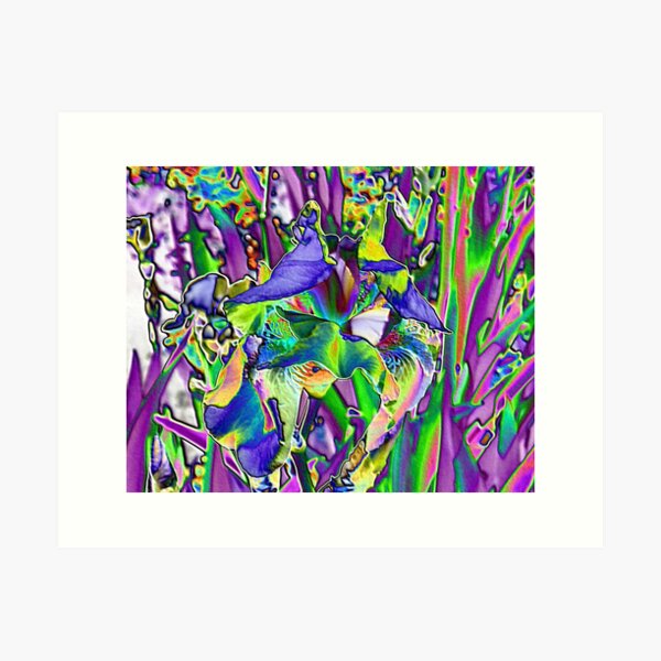 Lavender Iris Abstract Art Print