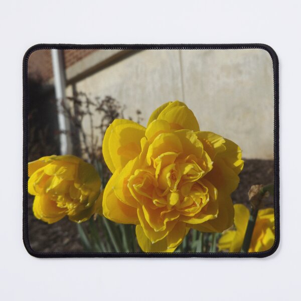 Item preview, Narcissus designed and sold by This and That.