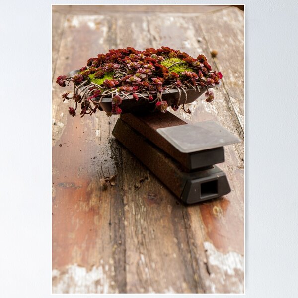 Item preview, Weighty alpine designed and sold by Jennifer Bradford.