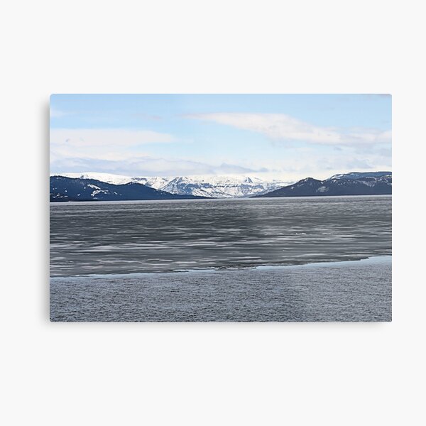 Spring at Yellowstone Lake, MT Metal Print