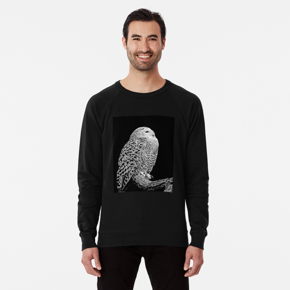 Item preview, Lightweight Sweatshirt designed and sold by ScenicViewPics.
