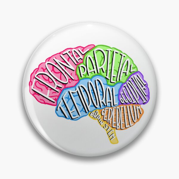 Item preview, brain anatomy  designed and sold by vive aitchison.