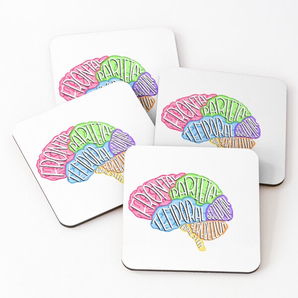 Item preview, brain anatomy  designed and sold by vive aitchison.