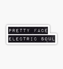 PFES Sticker