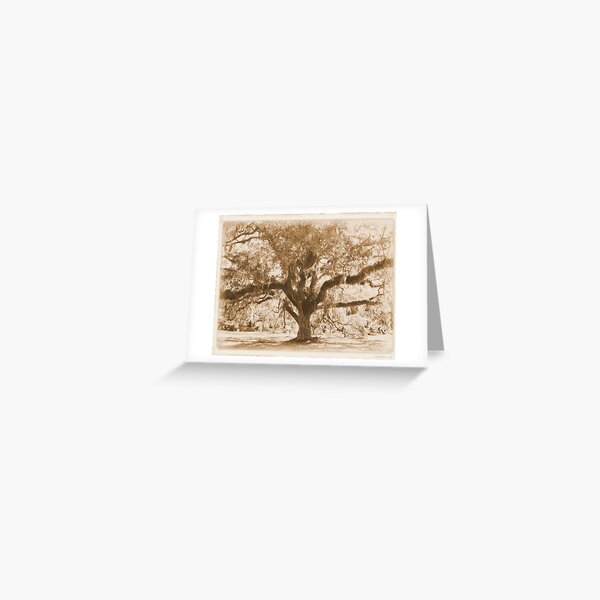 Aged Florida Oak with Spanish Moss Greeting Card