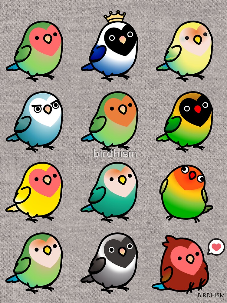 "Chubby Lovebirds" Lightweight Hoodie for Sale by birdhism | Redbubble