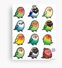 Chubby Lovebirds Metal Print