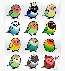 Chubby Lovebirds Poster