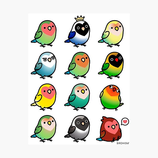 Chubby Lovebirds Photographic Print