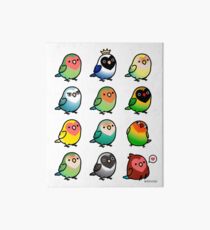 Chubby Lovebirds Art Board