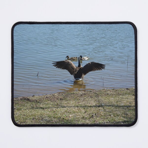 Item preview, Goose Wingspan designed and sold by This and That.