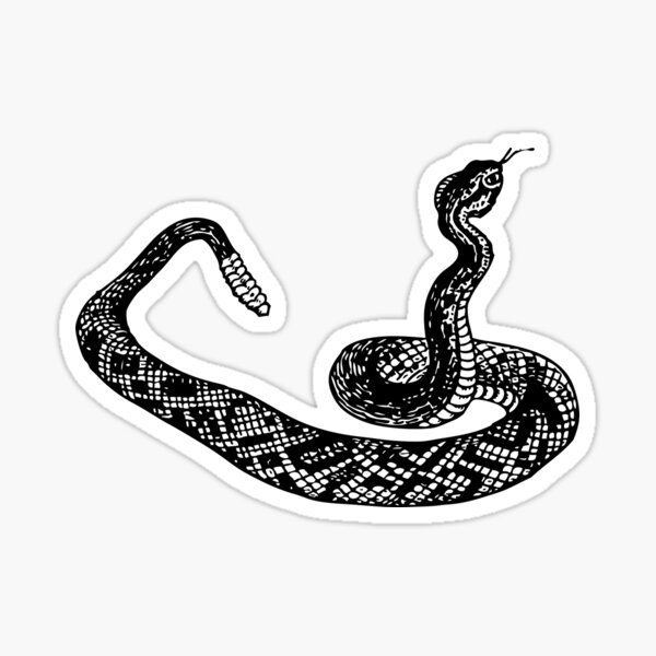 Item preview, Rattle snake designed and sold by DaviddhDesigns.