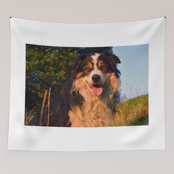 Item preview, My Guy designed and sold by Michael Haslam.