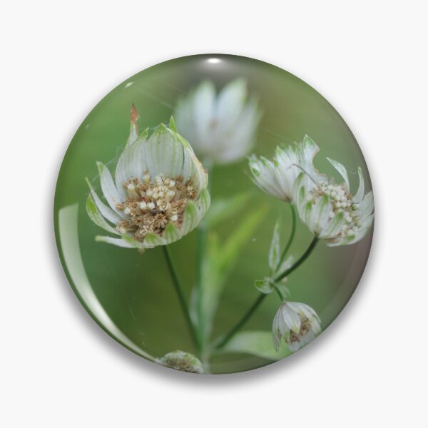 Item preview, Masterwort designed and sold by Emmaline Jones.