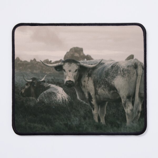 Item preview, Longhorn Cattle designed and sold by AnthonyThomas.