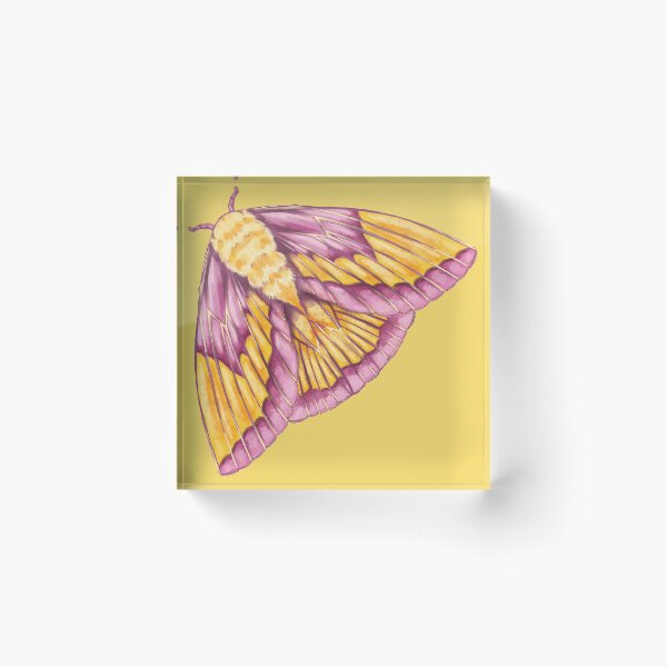 Item preview, Rosy Maple Moth designed and sold by leebradford.