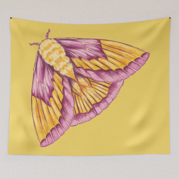 Item preview, Rosy Maple Moth designed and sold by leebradford.