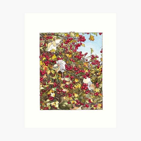 Item preview, Brambly Hedge collecting fruits  designed and sold by The Trend Shopl.