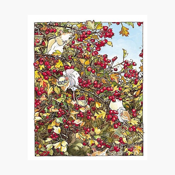 Item preview, Brambly Hedge collecting fruits  designed and sold by The Trend Shopl.