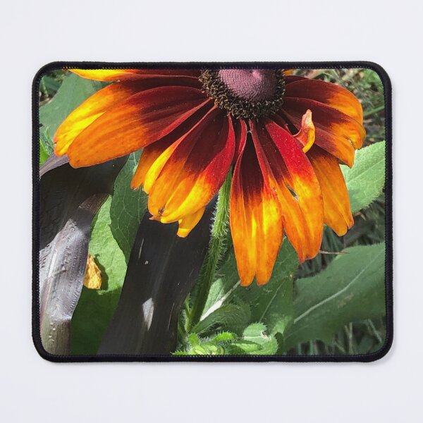 Item preview, Orange flower designed and sold by PicsByMi.