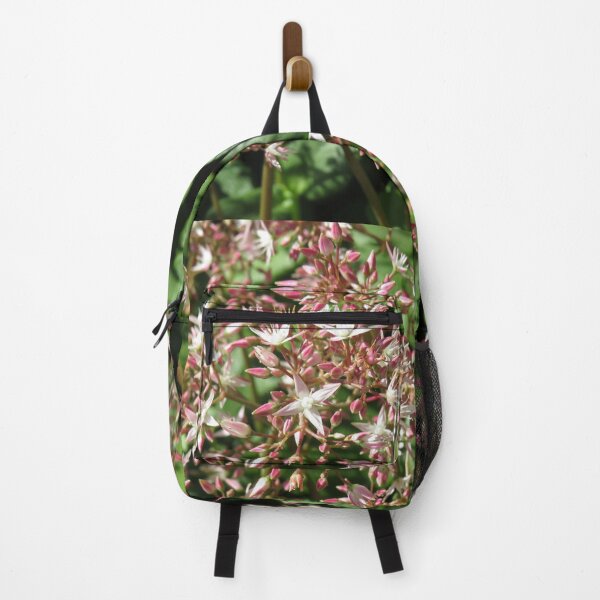 Item preview, Crassula multicava flowers designed and sold by greentiger1.