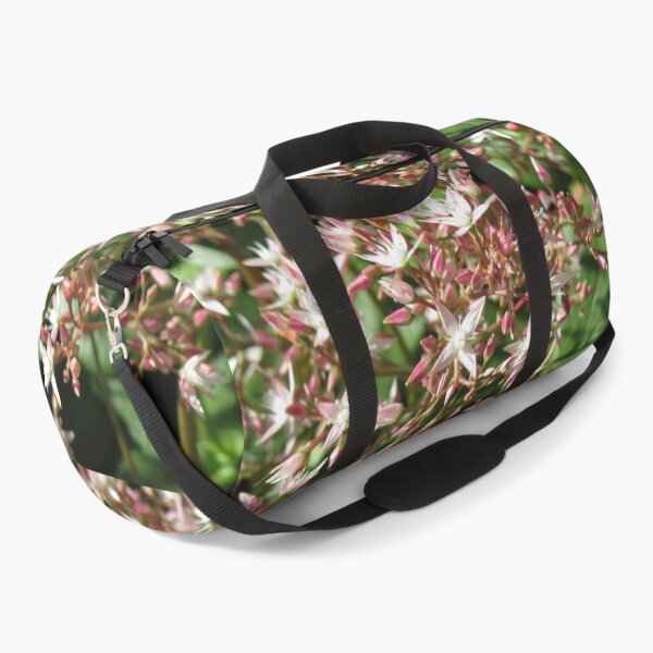 Item preview, Crassula multicava flowers designed and sold by greentiger1.