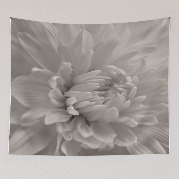 Item preview, Monochrome Chrysanthemum Close-up designed and sold by by-jwp.