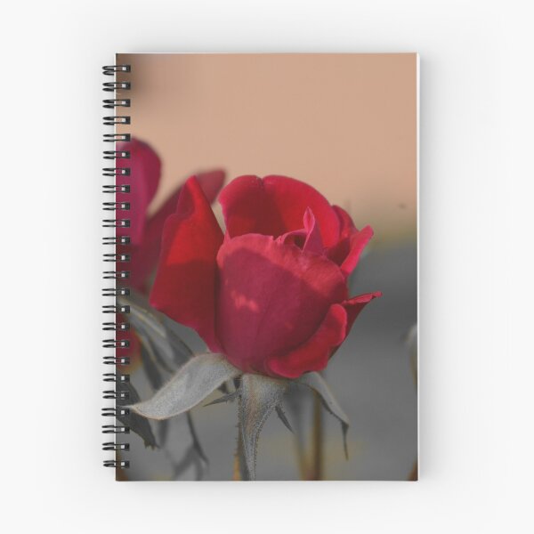 Item preview, Beautiful Focused Red Roses designed and sold by Azraqcrafts.