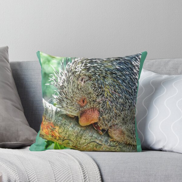 Item preview, Snuggly when He's Sleeping designed and sold by BBrightman.