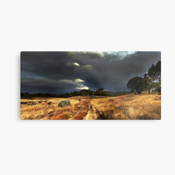 Storm Front Metal Print