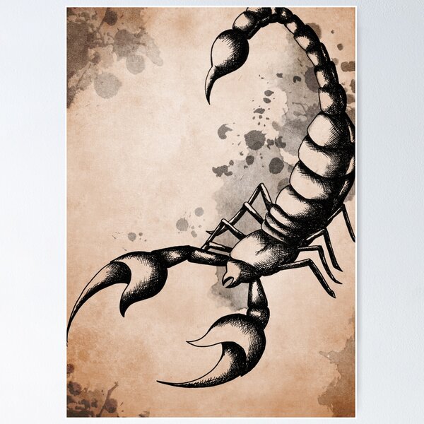 Item preview, The Scorpion designed and sold by Magic-Mirror.