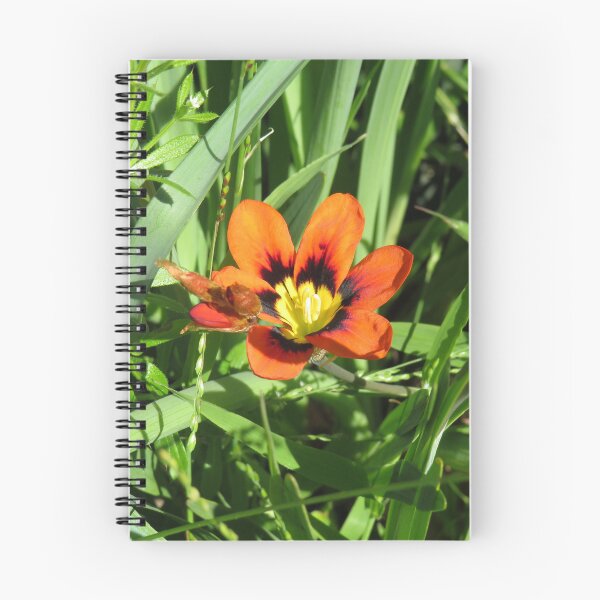 Item preview, Orange freesia flower designed and sold by greentiger1.