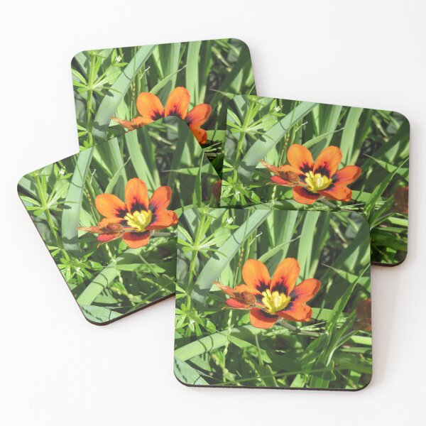 Item preview, Orange freesia flower designed and sold by greentiger1.