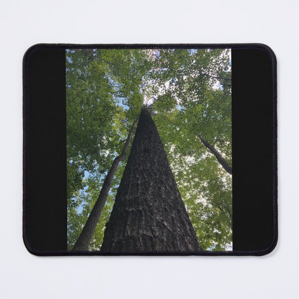 Item preview, Tree, Very big tree  designed and sold by PicsByMi.