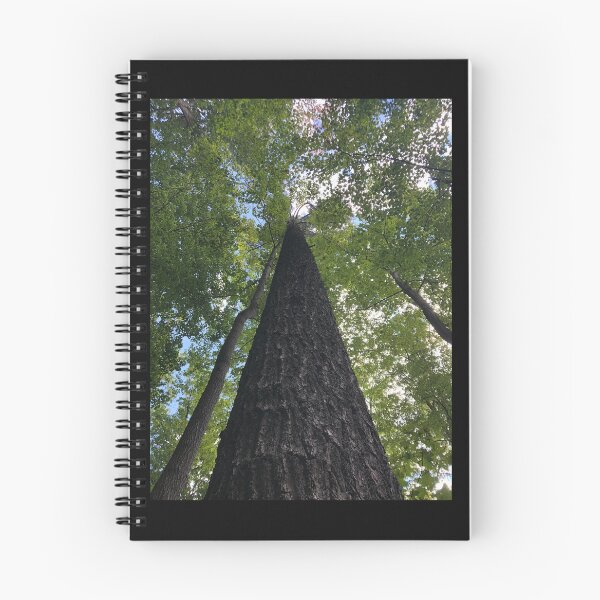 Item preview, Tree, Very big tree  designed and sold by PicsByMi.