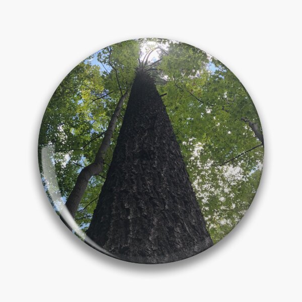 Item preview, Tree, Very big tree  designed and sold by PicsByMi.