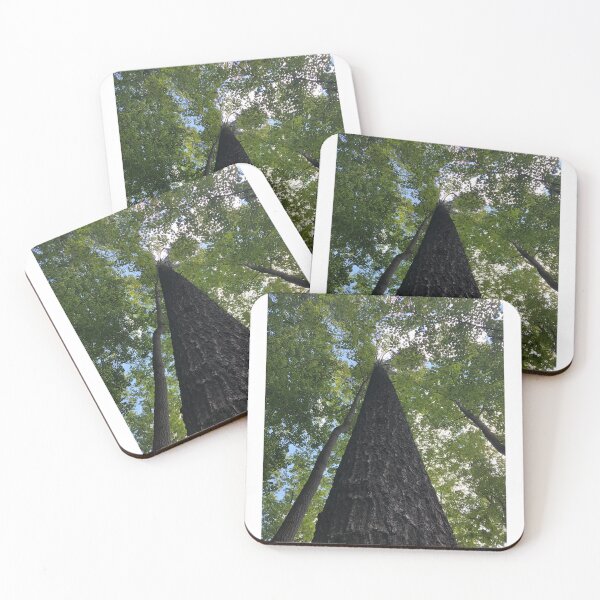 Item preview, Tree, Very big tree  designed and sold by PicsByMi.