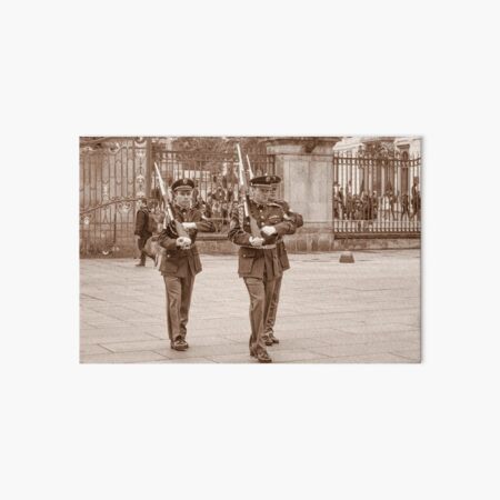 Castle Guard Praha Art Board Print