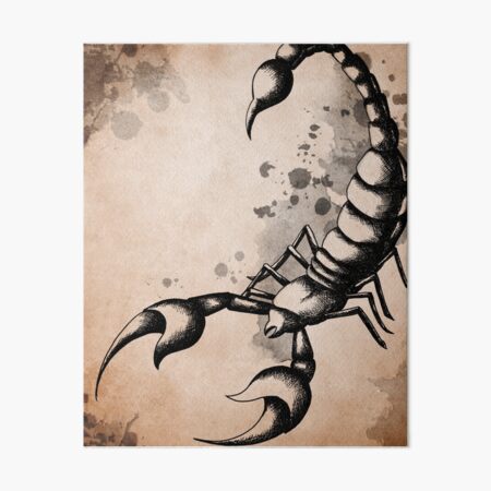 Item preview, The Scorpion designed and sold by Magic-Mirror.