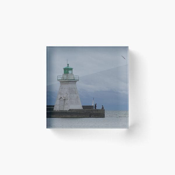 Item preview, A bird, a lake and a light house  designed and sold by PicsByMi.