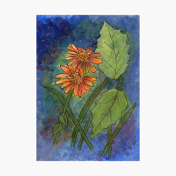 Photographic Print