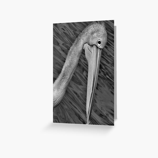Item preview, Mr Ponder designed and sold by Samantha Cole-Surjan.