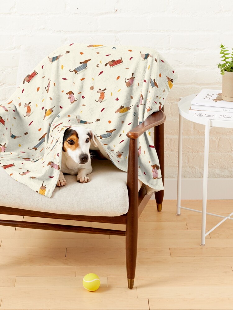 Alternate view of Cute Dachshunds in Winter Sweaters with Autumn Leaves Pet Blanket
