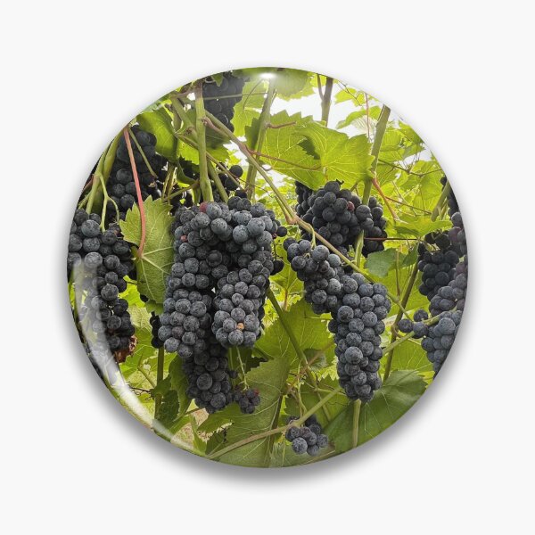 Item preview, Grapes  designed and sold by bradleyduncan.