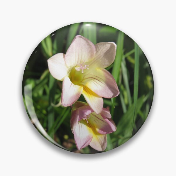 Item preview, Pink freesia flowers designed and sold by greentiger1.
