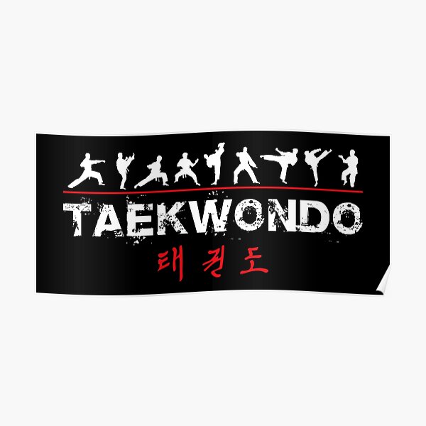 Taekwondo Posters | Redbubble