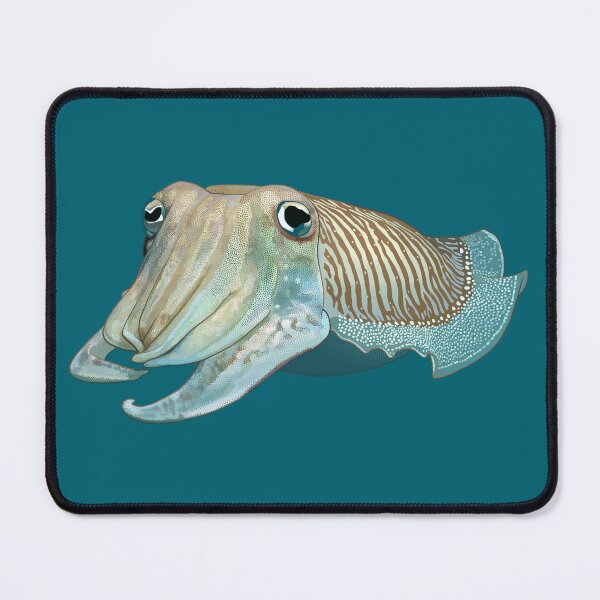 Item preview, Cuttlefish 3 designed and sold by Zia Frazier.