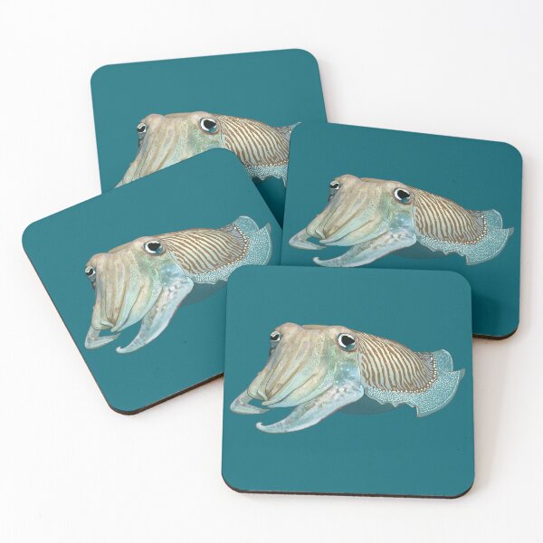 Item preview, Cuttlefish 3 designed and sold by Zia Frazier.